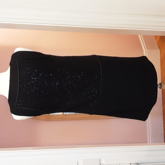 NWT🌟HP🌟 Loft Sequin Dress - Picture 8 of 11